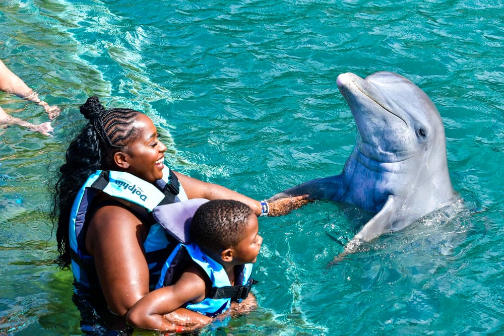 The Touray Family's Island Adventure in St. Kitts. Exploring Dolphines - 2022 post image